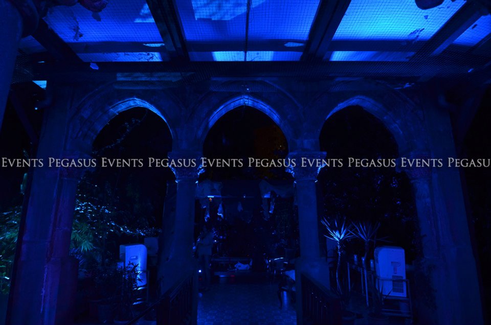 Halloween Party by Pegasus Events